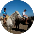 marcelo muñoz Avatar